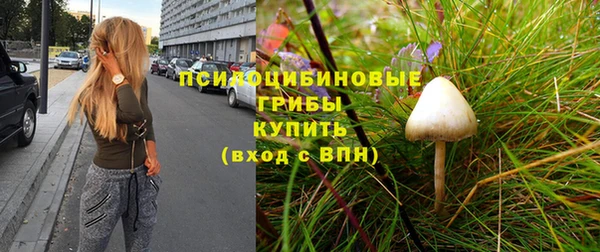 Альфа ПВП Арсеньев