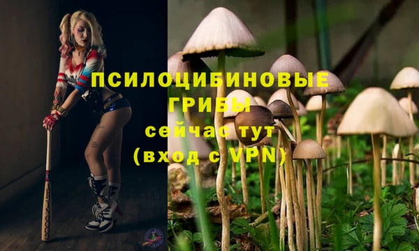Альфа ПВП Арсеньев