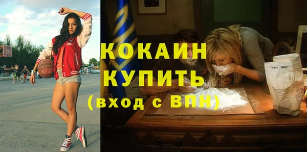 мяу мяу мука Аркадак