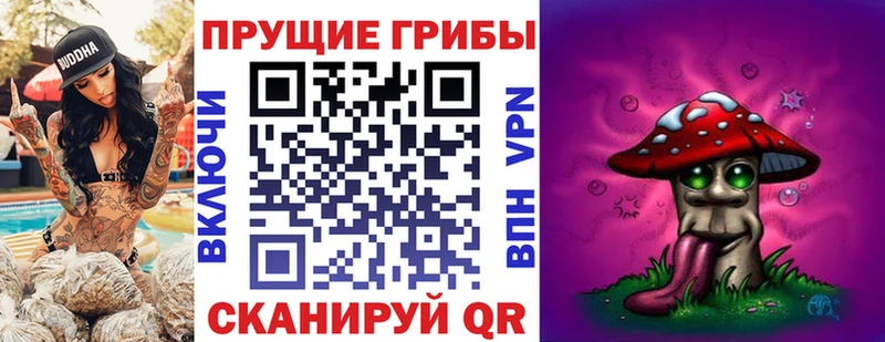 Галлюциногенные грибы Cubensis  Спас-Деменск 